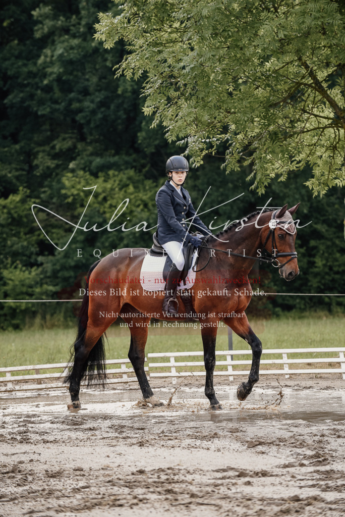 DSC_8581 | Pferde- und Turnierfotografie in Westsachsen. Pferdeportraits, Auftragszeichnungen und intuitive Kunst.