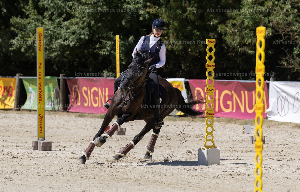WM_Speed_Junioren_48_KerstinBernhardt-3 | working equitationturnier fotograf videograf stoibphotography marixx film working equitation deutschland reitsport turnierfotografie eventfotografie equestrian events