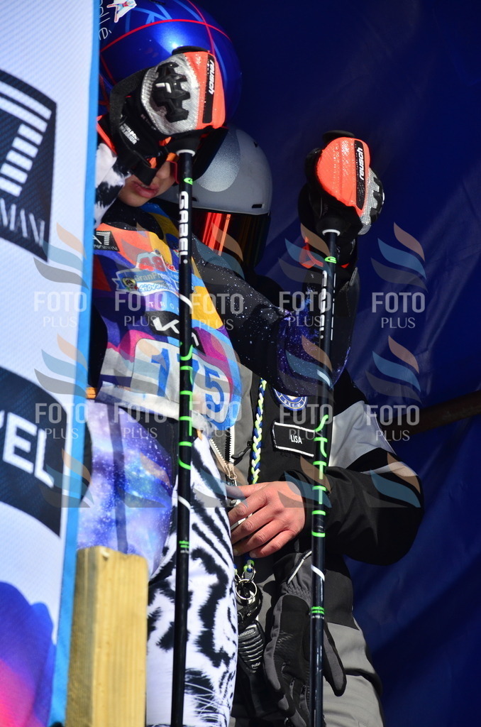 _ELE1176 | holidayphoto