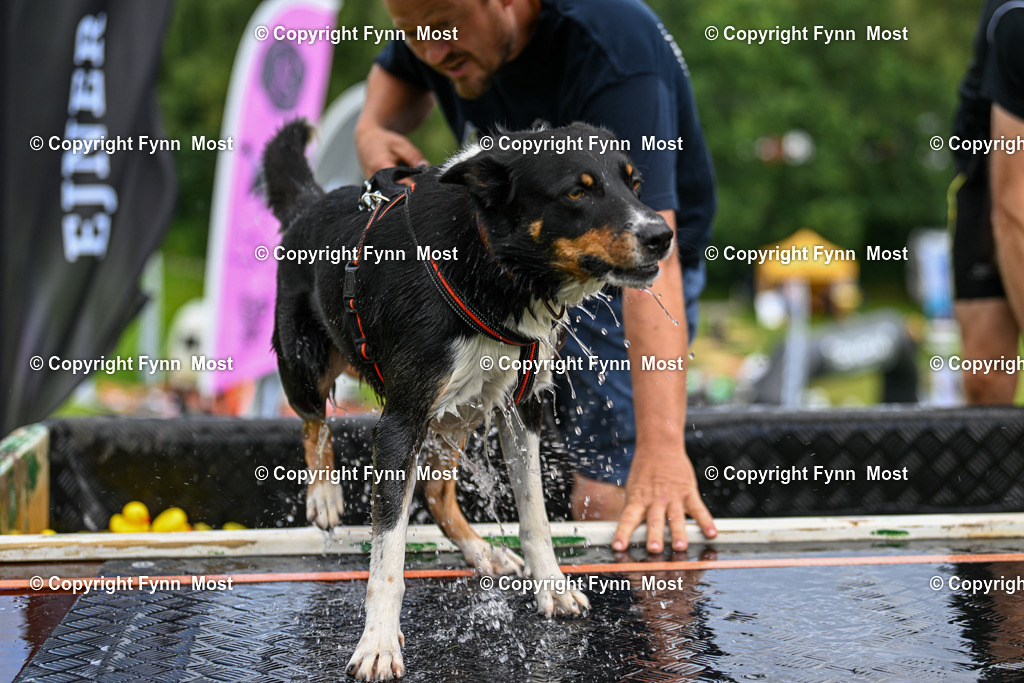 DSC_5929 | Hallo und herzlich Willkommen auf meiner Shop-Seite Fynn Most.

Ich wünsche Dir viel Spaß beim stöbern durch die Bilder, wenn Du Fragen hast oder Bilder vermisst, kannst du mir gerne eine Nachricht schreiben. - Realisiert mit Pictrs.com