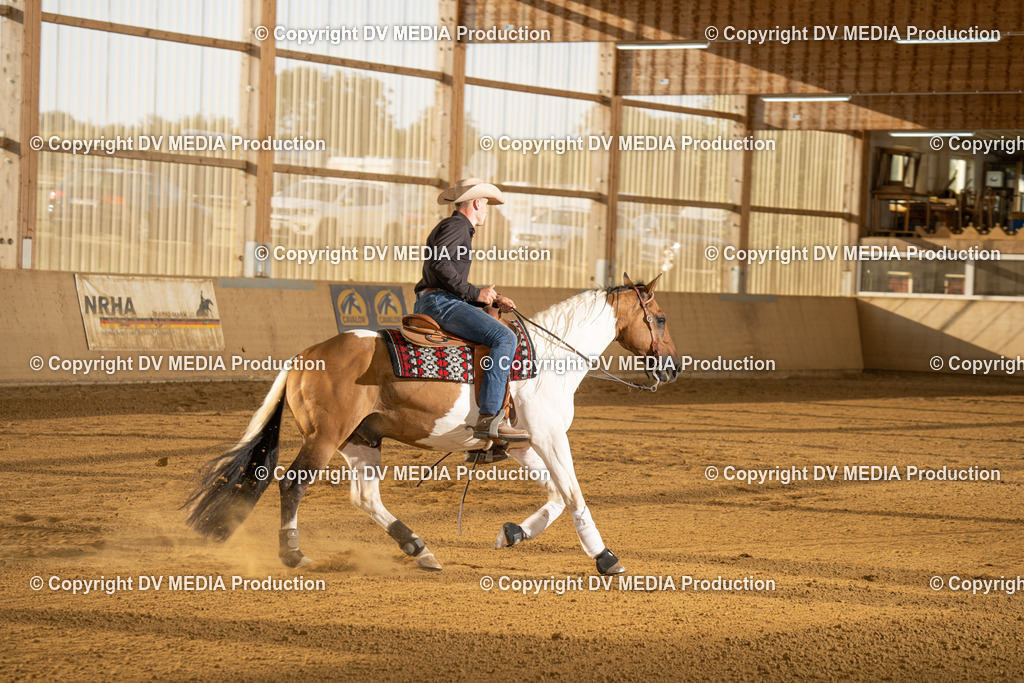 LAU01956 | dv-media-shop - Realisiert mit Pictrs.com