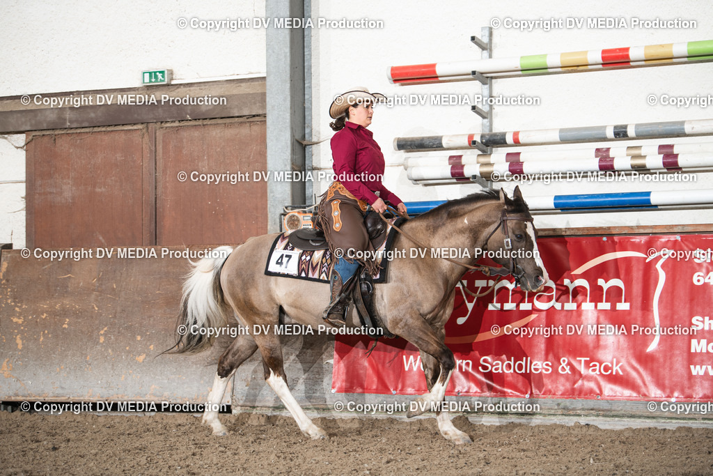 Heiligenwald Tag 1-275 | dv-media-shop - Realisiert mit Pictrs.com