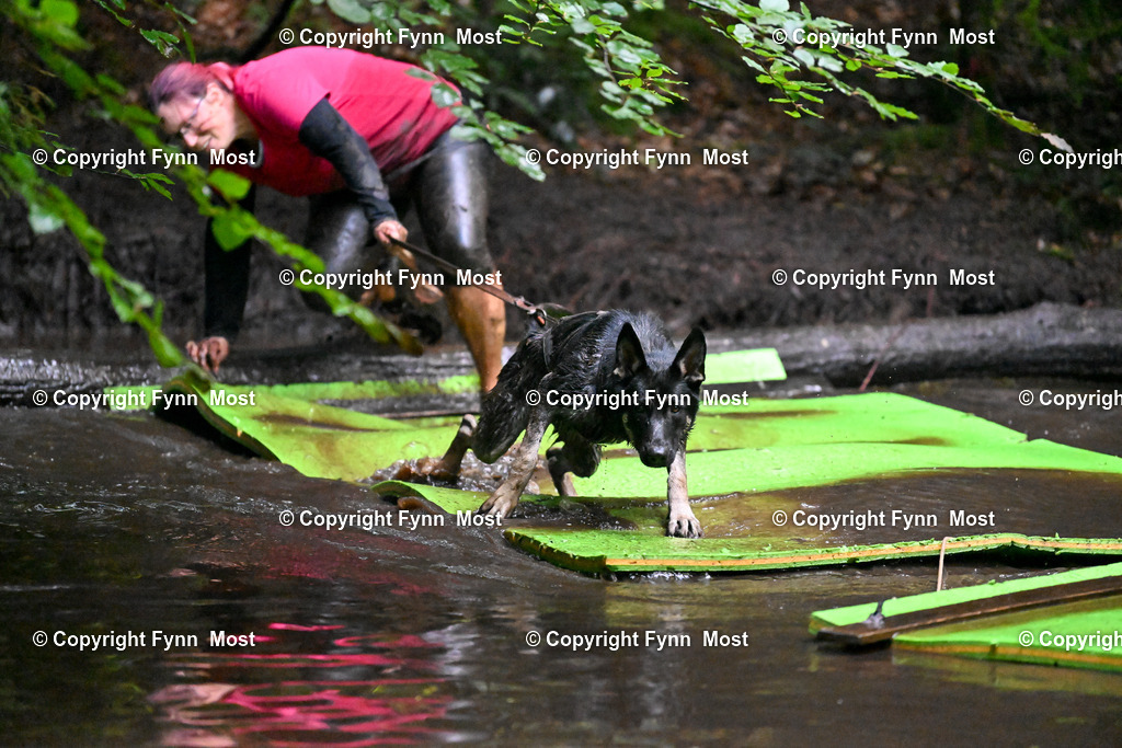 DSC_0388 | Hallo und herzlich Willkommen auf meiner Shop-Seite Fynn Most.

Ich wünsche Dir viel Spaß beim stöbern durch die Bilder, wenn Du Fragen hast oder Bilder vermisst, kannst du mir gerne eine Nachricht schreiben. - Realisiert mit Pictrs.com