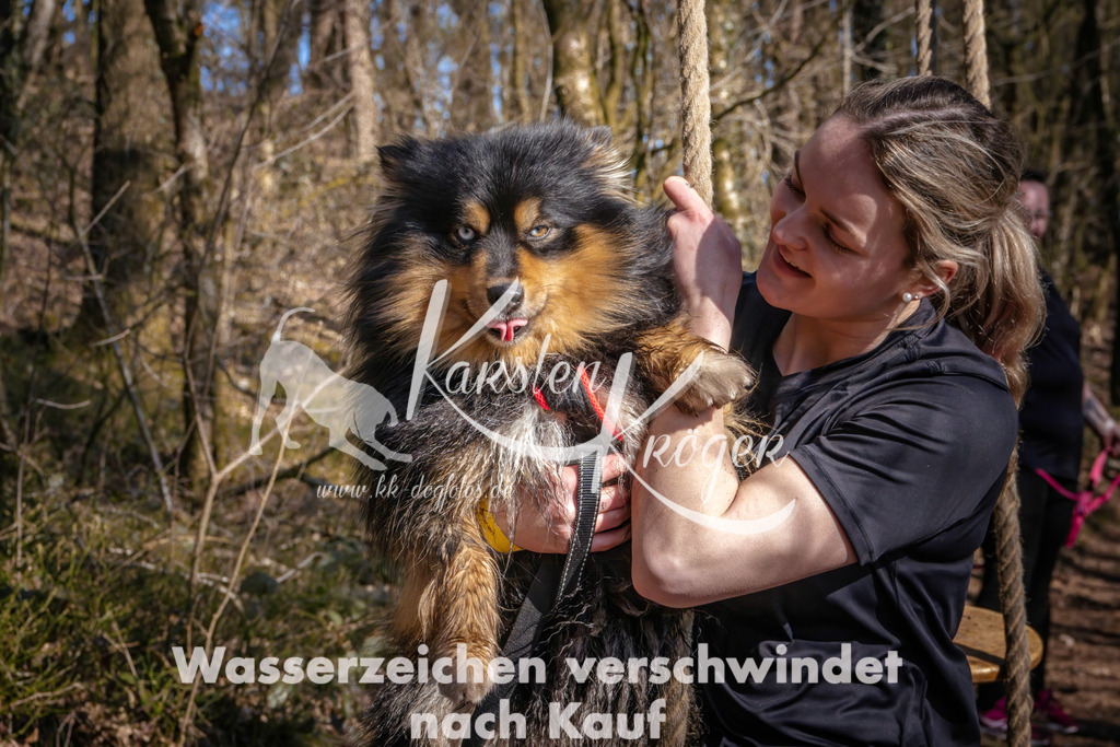 0954_ZZ91078 | kk-dogfotos