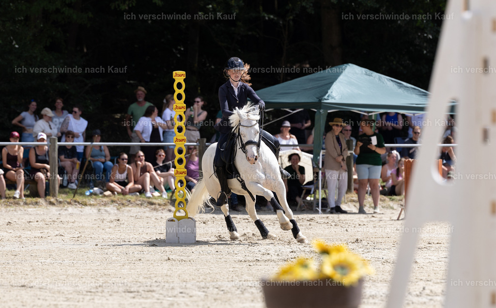 WM_Speed_YR_101_KerstinBernhardt-7 | working equitationturnier fotograf videograf stoibphotography marixx film working equitation deutschland reitsport turnierfotografie eventfotografie equestrian events