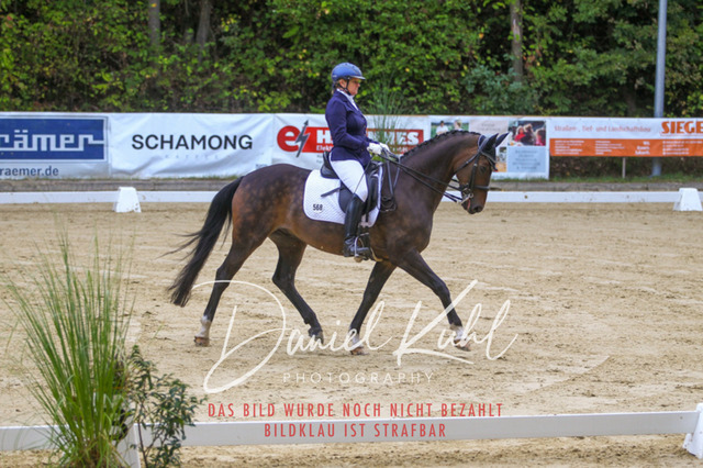 DKP41360 | Turniersportfotografie; Pferdefotografie; Dressurfotografie