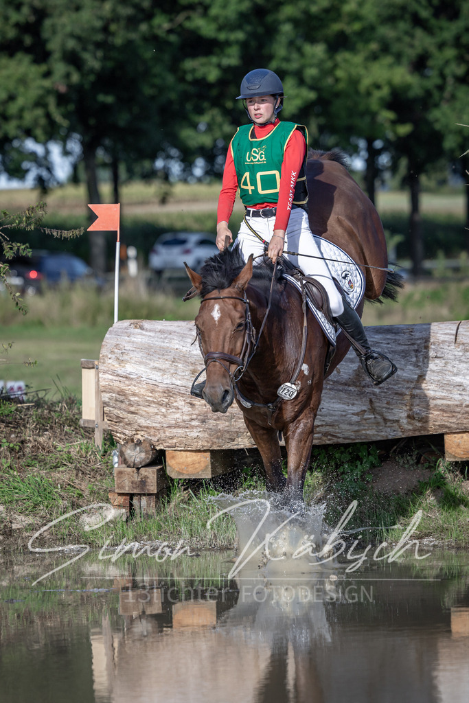 20250907-_3LI4170 | Tierfotografie Pferde, Hunde, Katzen, Haustiere.
Turnierfotografie Reitturniere, Reiten, Springreiten, Dressur in Hanau, dem Main-Kinzig-Kreis und dem Rhein-Main- Gebiet um Frankfurt