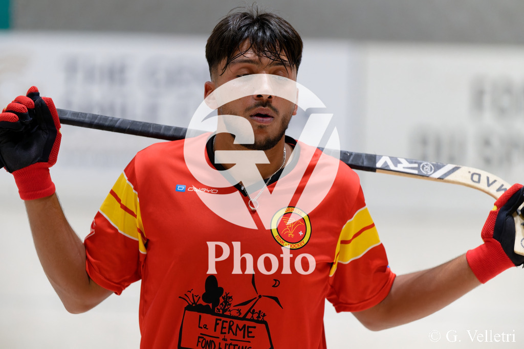 DSC_9084 | Velletri Photo