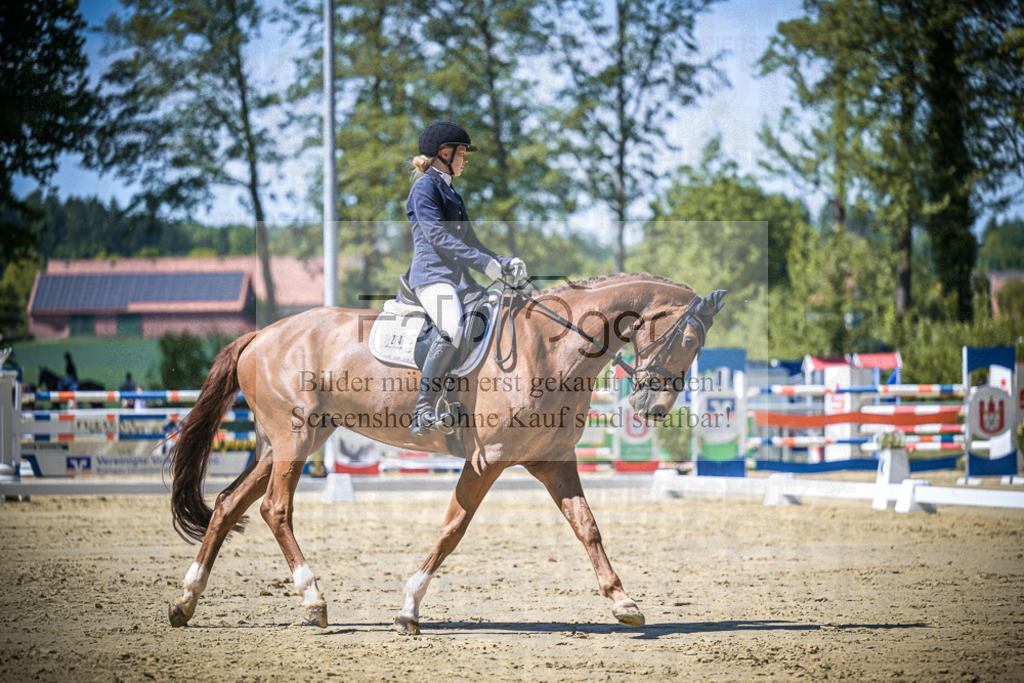 DOS_8411 | Entdecke hochwertige Reitturnierfotos von Foto Oger. Professionell, emotional und authentisch – jetzt Lieblingsmomente im Shop bestellen.Deutschlandweite Turnierfotografie. - Realisiert mit Pictrs.com