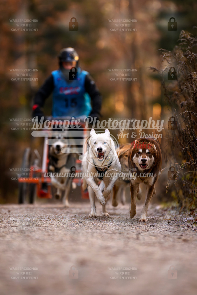 MompixPhotography_DM_AKDM_SO_2025_Wagen-22 | PayLife