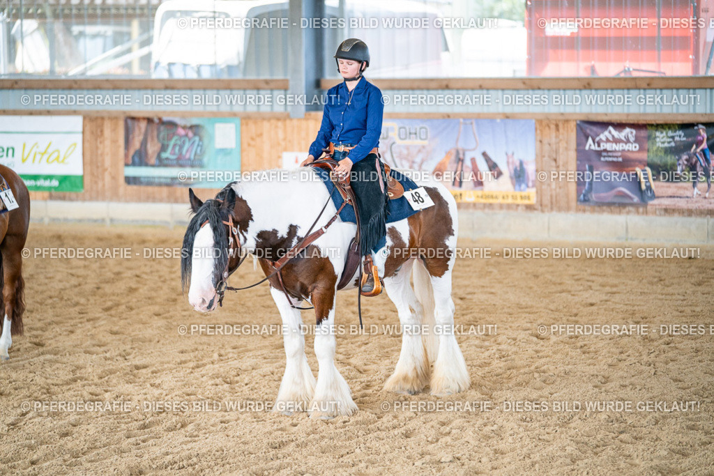 DSC03783 | Pferdegrafie