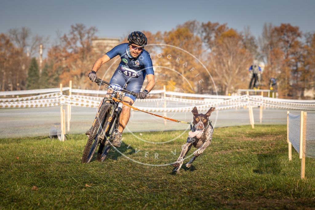 CaniXpix_0L8A4078 | Hundefotografie, Tierfotograf, Pfotenfotografie, Fotoshooting Hund, Hunde Portrait, Hundesport, Hundeportraits, Heideshooting, Hunde, Sportfotograf, Hundefotograf, Turnierhundsport, THS,  - Realisiert mit Pictrs.com