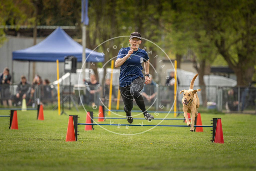Pfotenfotografie_DV3A6317 | Hundefotografie, Tierfotograf, Pfotenfotografie, Fotoshooting Hund, Hunde Portrait, Hundesport, Hundeportraits, Heideshooting, Hunde, Sportfotograf, Hundefotograf, Turnierhundsport, THS,  - Realisiert mit Pictrs.com