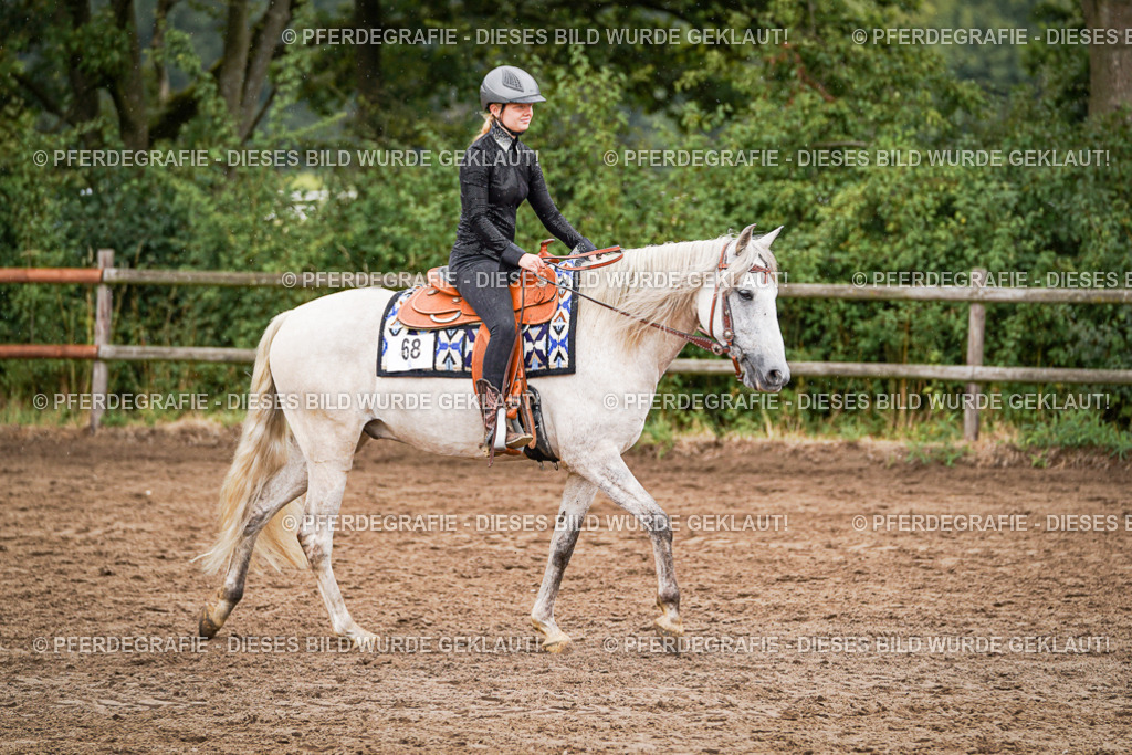 DSC05113 | Pferdegrafie