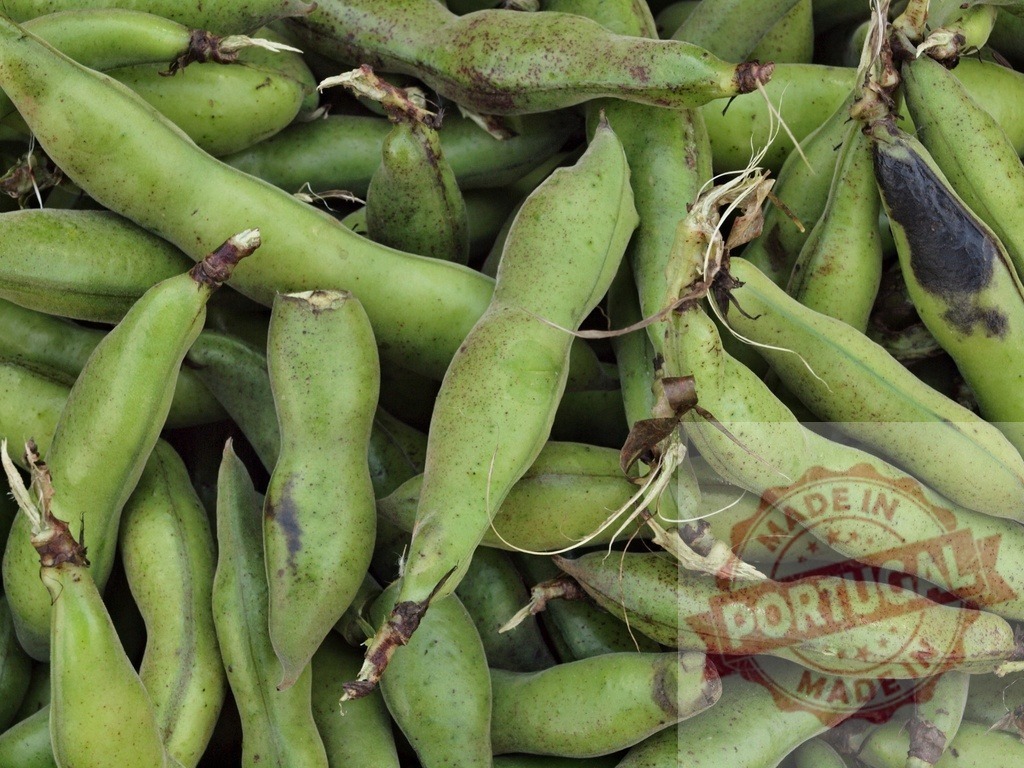 Fresh fava beans broad beans growing organic produce | Freshly picked green fava beans filling the frame, showing organic texture - Realized with Pictrs.com