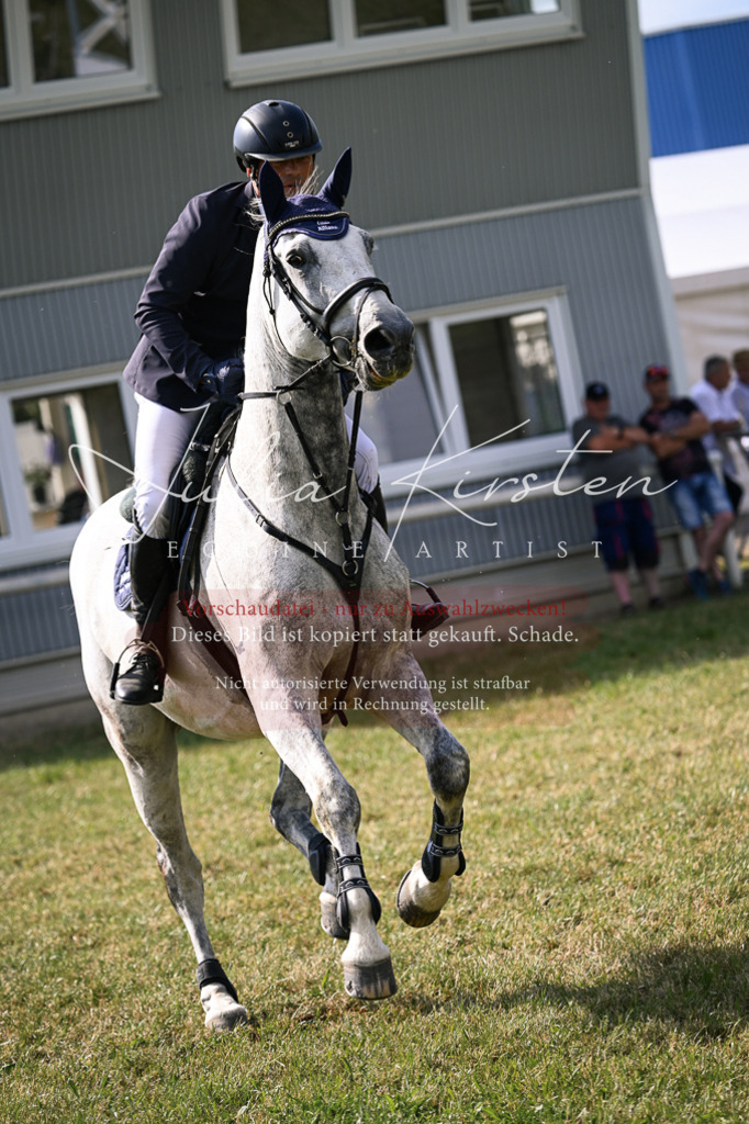 DSC_1039 | Pferde- und Turnierfotografie in Westsachsen. Pferdeportraits, Auftragszeichnungen und intuitive Kunst.
