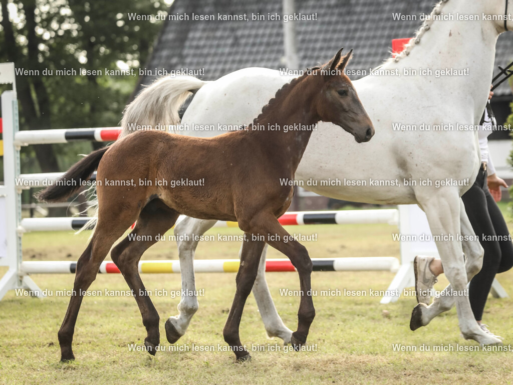 598A2890 | photographylinaismer - Realisiert mit Pictrs.com