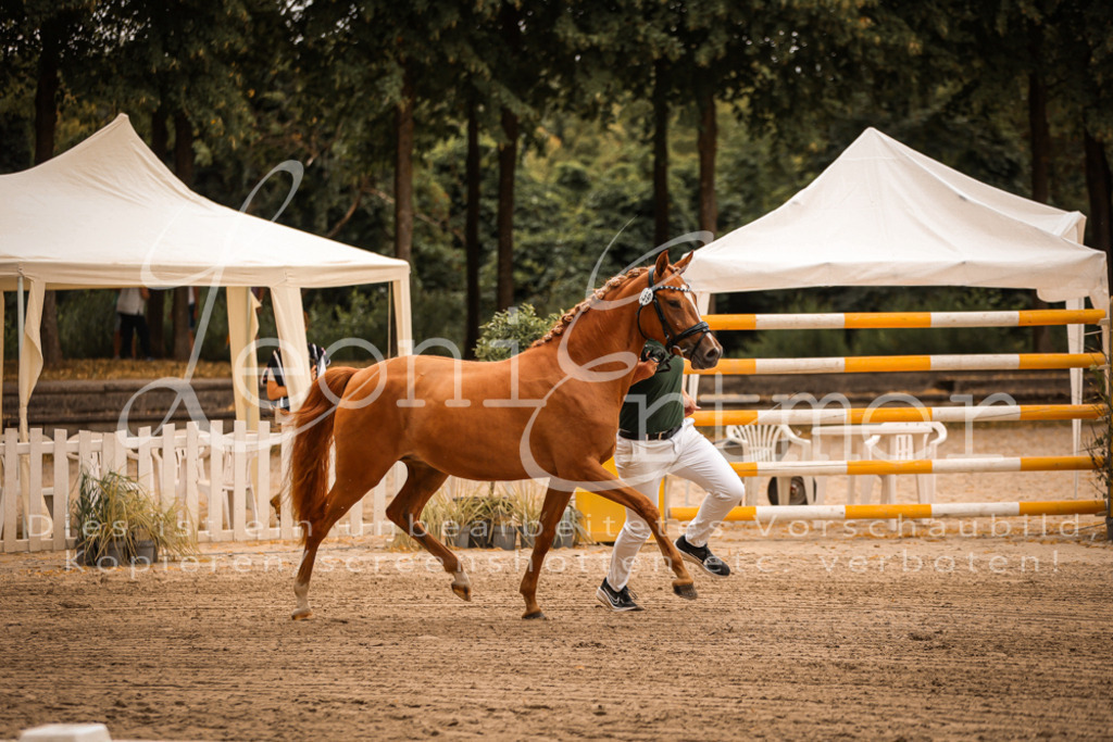 10.So00067 | Leoni Ertmer Photography - Realisiert mit Pictrs.com