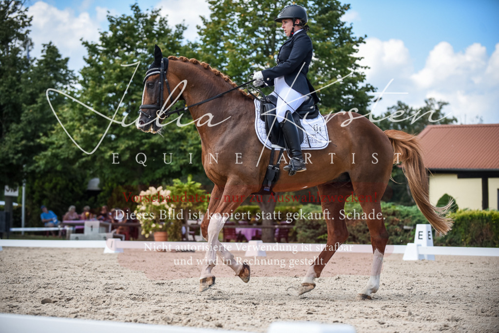 DSC_9337 | Pferde- und Turnierfotografie in Westsachsen. Pferdeportraits, Auftragszeichnungen und intuitive Kunst.