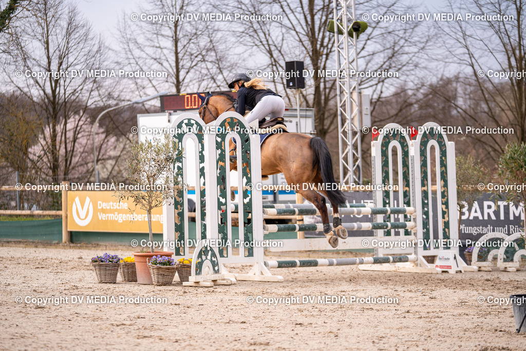 Kranichstein Tag 2-1347 | dv-media-shop - Realisiert mit Pictrs.com