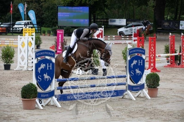 2B4A2308 | pixelfaenger - Realisiert mit Pictrs.com