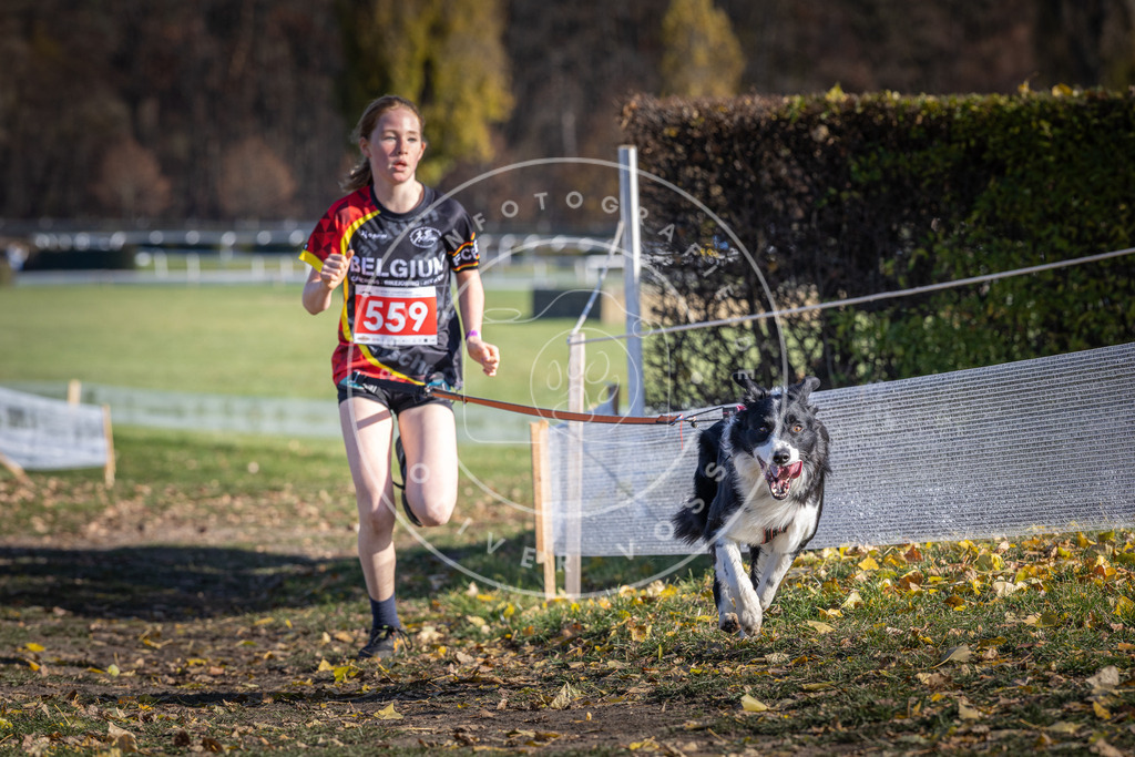 CaniXpix_DV3A8663 | Hundefotografie, Tierfotograf, Pfotenfotografie, Fotoshooting Hund, Hunde Portrait, Hundesport, Hundeportraits, Heideshooting, Hunde, Sportfotograf, Hundefotograf, Turnierhundsport, THS,  - Realisiert mit Pictrs.com