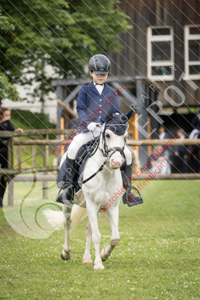 IMG_1691 | Sport-, Event- und Tierfotos in Profiqualität. Einfach auswählen, bestellen und herunterladen. Dein Moment – perfekt festgehalten.