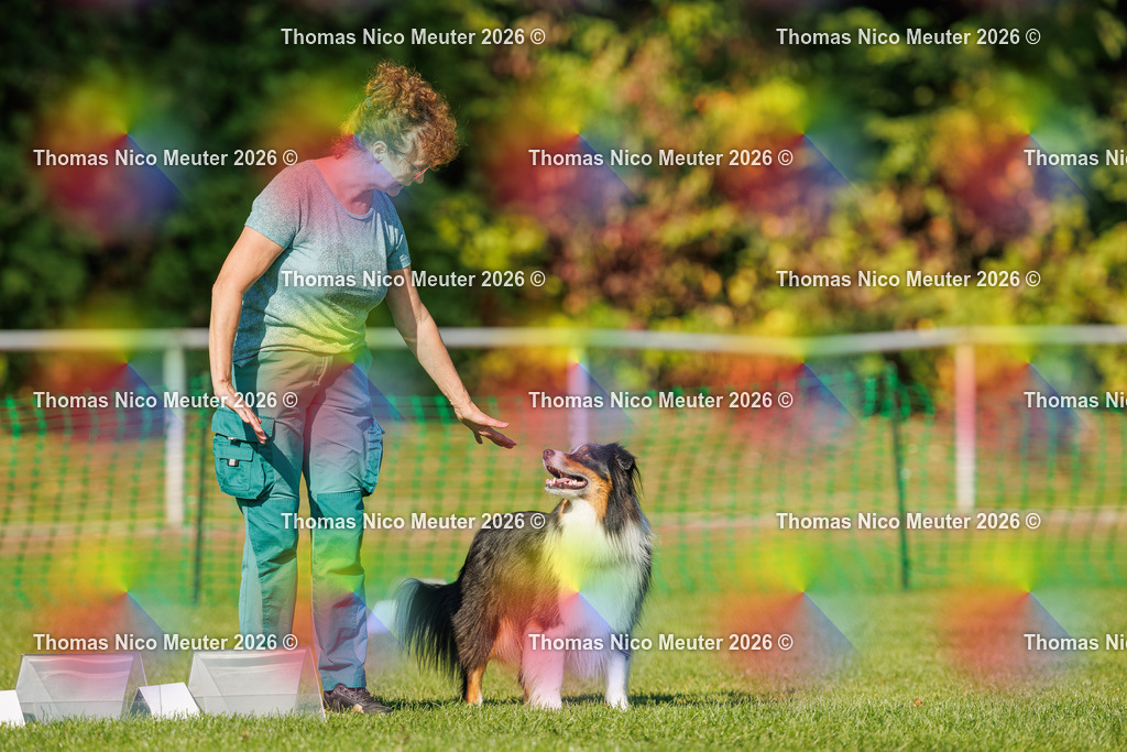 Thomas_Nico_Meuter(C)_04. Oktober 2026_223A2730 | Bild von Thomas Nico Meuter - Realisiert mit Pictrs.com
