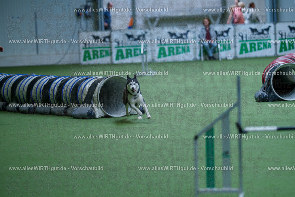 @allesWIRTHgut_Tierfotografie - www.allesWIRTHgut.de - 2604251521-7R505827 | Professionelle Tierfotografie in Mönchengladbach von Daniel Wirth (allesWIRTHgut). Liebevolle & natürliche Bilder von Hunden & Katzen für unvergessliche Erinnerungen.