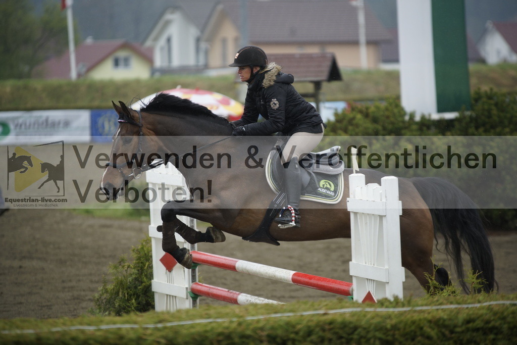 _DSC3882 | equestrian-live-com