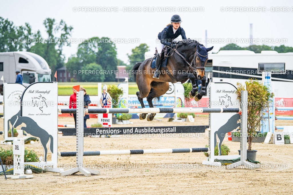 DSC08893 | Pferdegrafie