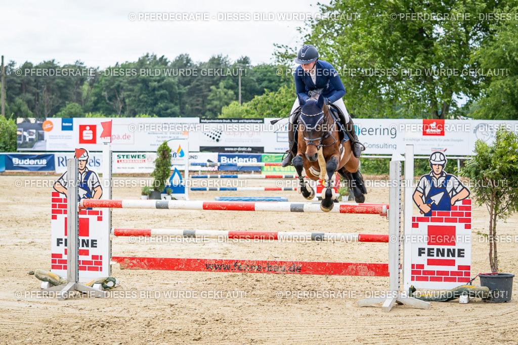 DSC05345 | Pferdegrafie