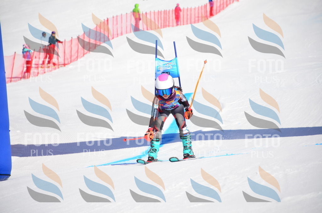 VR4_8862 | holidayphoto