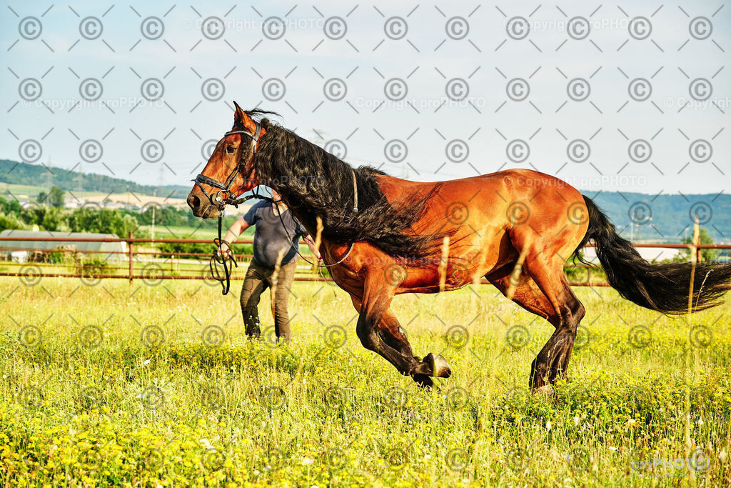 317_202406_Niki-Herodes_NZ9_0271 | proPHOTO - Realisiert mit Pictrs.com