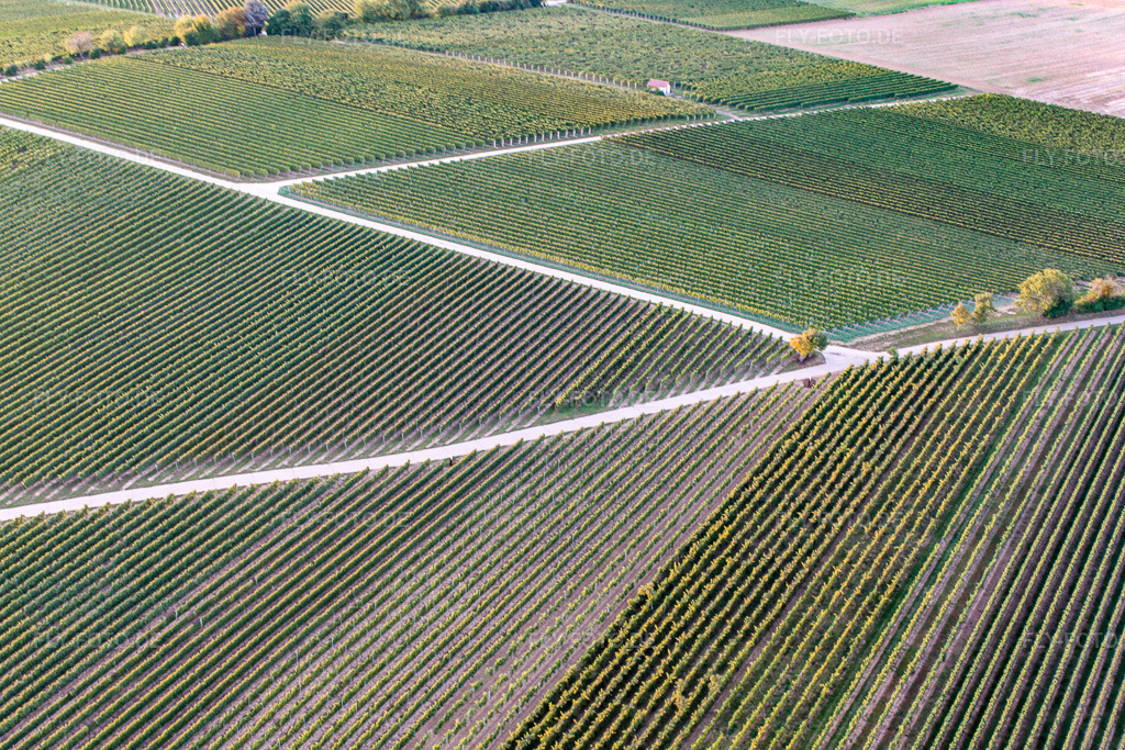Luftbild: Rebfelder im Ortsteil Ingenheim in Billigheim-Ingenheim im Bundesland Rheinland-Pfalz in Deutschland. Foto: IMG_21291.jpg vom 23.09.2009 durch Werner Riehm/FLY-FOTO.de