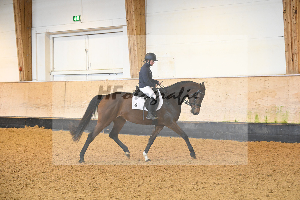 Kat-Nr. 6 Lynette_Leggett_6222024 | hf-fotografie - Realisiert mit Pictrs.com