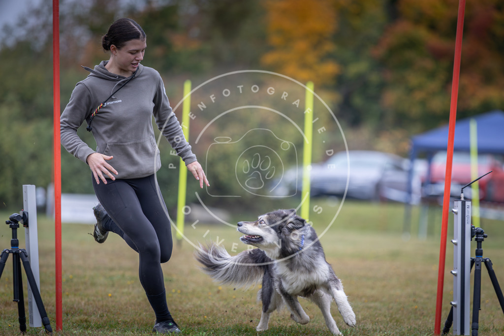 Pfotenfotografie_DV3A0932 | Hundefotografie, Tierfotograf, Pfotenfotografie, Fotoshooting Hund, Hunde Portrait, Hundesport, Hundeportraits, Heideshooting, Hunde, Sportfotograf, Hundefotograf, Turnierhundsport, THS,  - Realisiert mit Pictrs.com