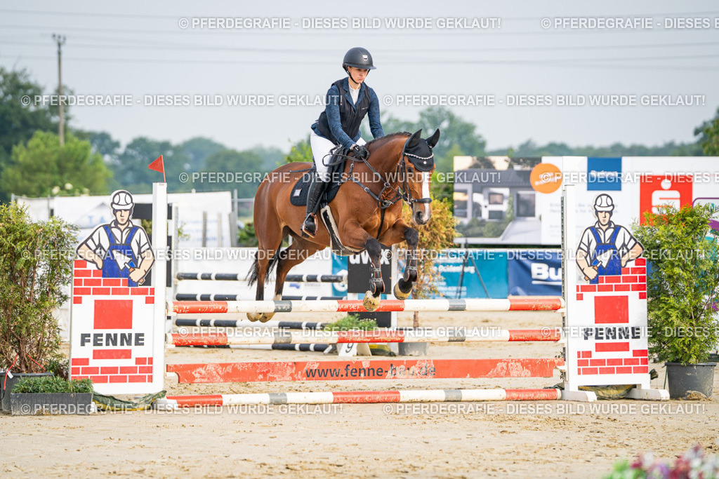 DSC08382 | Pferdegrafie