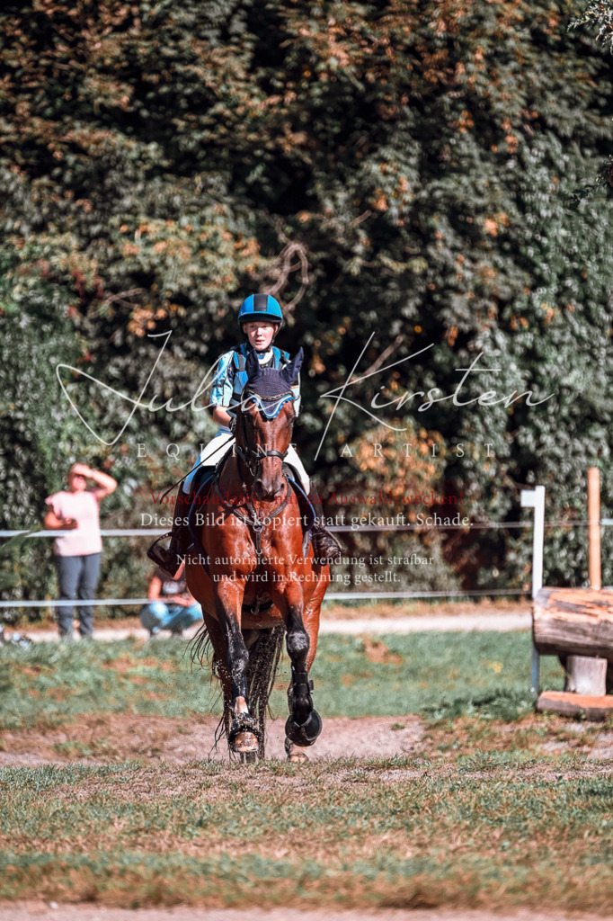 DSC_0827 | Pferde- und Turnierfotografie in Westsachsen. Pferdeportraits, Auftragszeichnungen und intuitive Kunst.