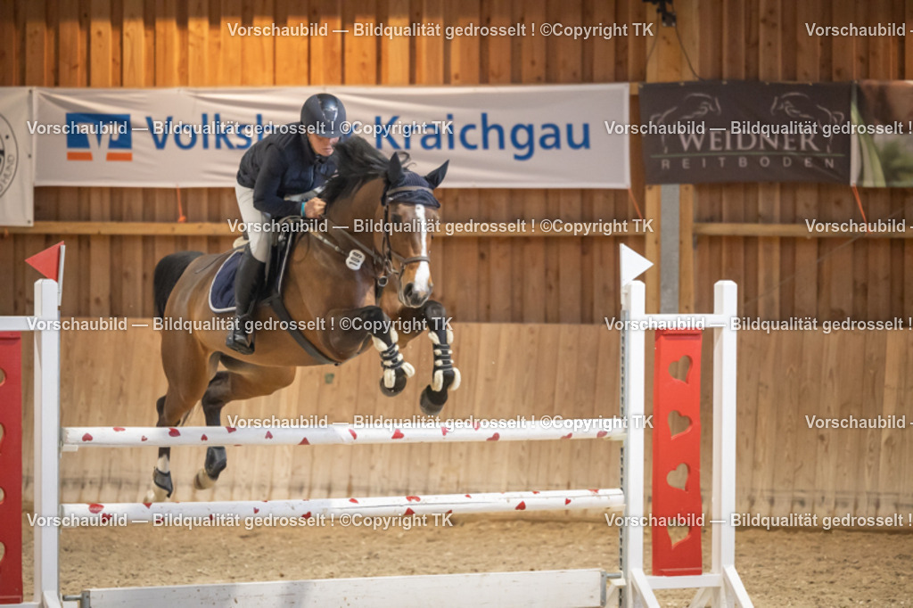 _D5A8831 | Emotionale Pferde- & People-Fotografie rund um Heidelberg, Leimen & Umgebung. Natürliche Fotos von Pferd, Mensch & Familie. Jetzt Termin sichern!