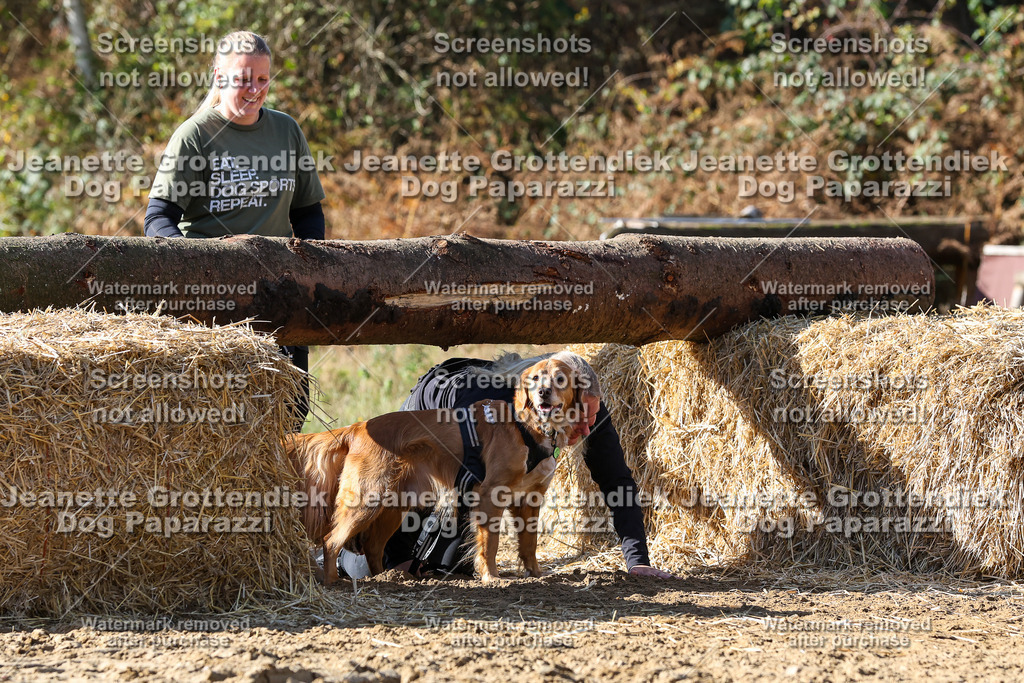 Dog Paparazzi - Strongdog 10-25-4778 | Dog Paparazzi Jeanette Grottendiek Fotografie & Videografie - Realisiert mit Pictrs.com