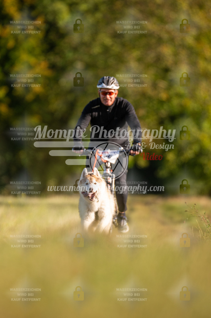 CDLBDB_15_10_2023_Dimanche-184 | PayLife
