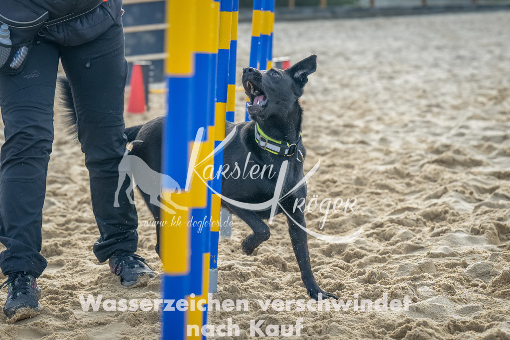 0902_ZZ91750-Bearbeitet | kk-dogfotos