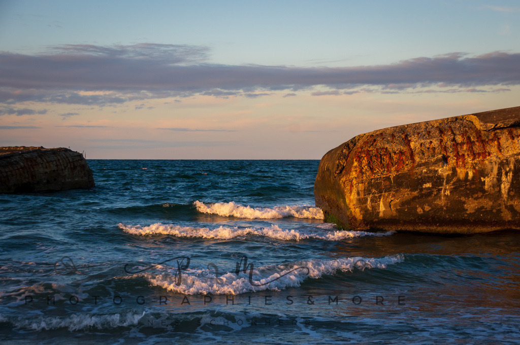 _Sommer2022-0727 | Photographies and more - Realisiert mit Pictrs.com