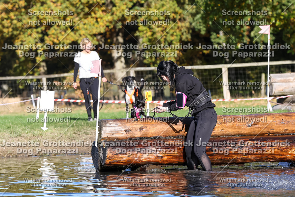 Dog Paparazzi - Strongdog 10-25-8762 | Dog Paparazzi Jeanette Grottendiek Fotografie & Videografie - Realisiert mit Pictrs.com