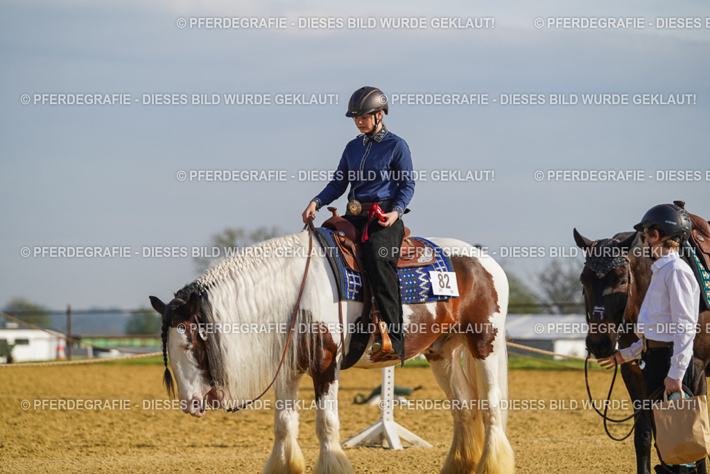 DSC00954 | Pferdegrafie