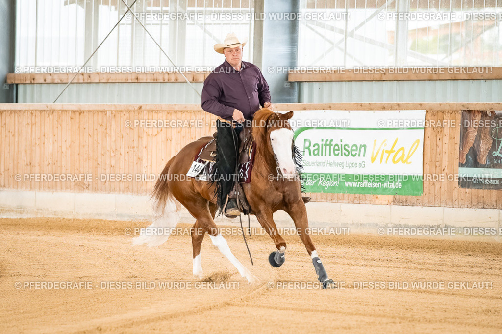 DSC01541 | Pferdegrafie