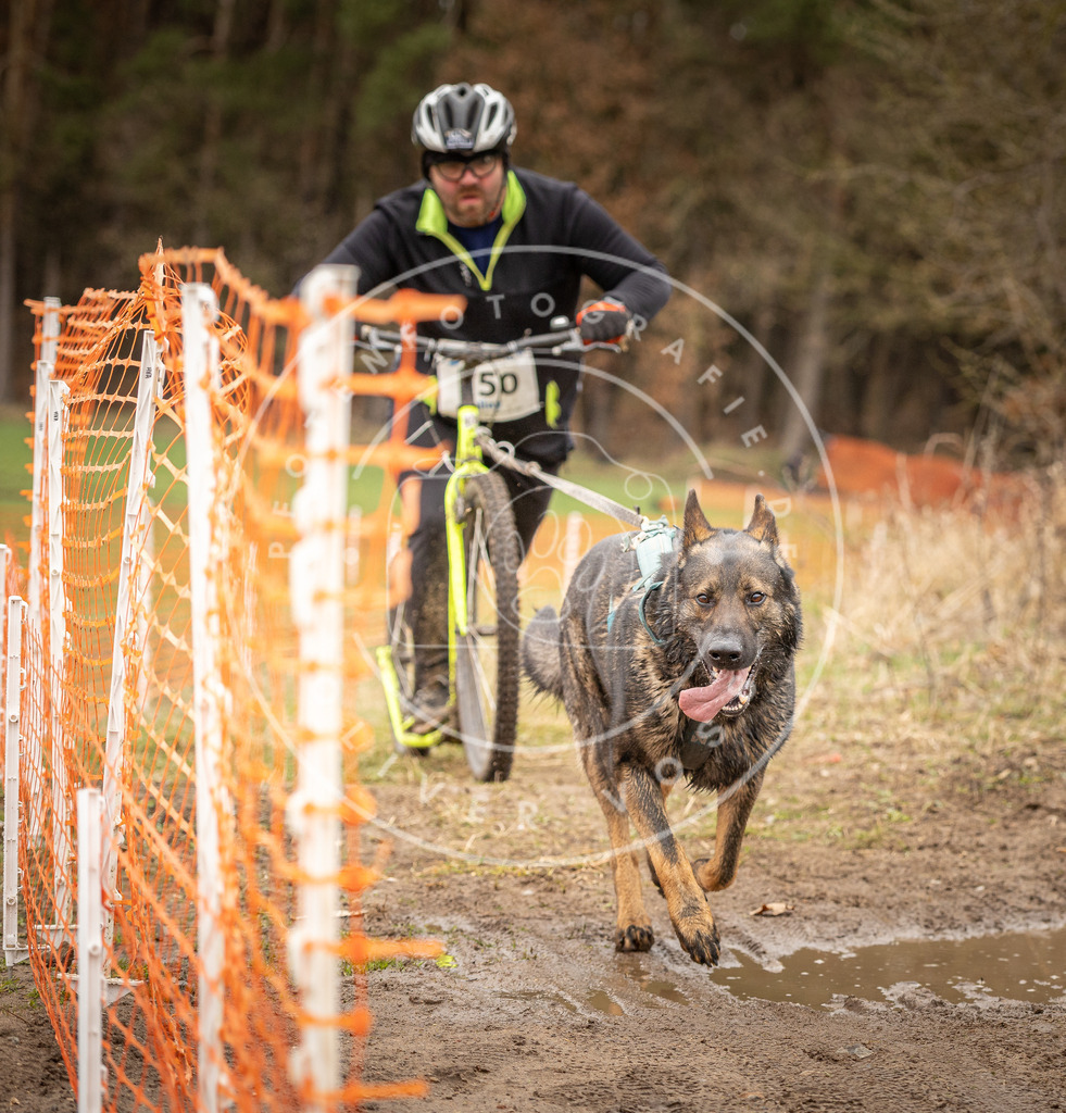 DV3A1624 | Hundefotografie, Tierfotograf, Pfotenfotografie, Fotoshooting Hund, Hunde Portrait, Hundesport, Hundeportraits, Heideshooting, Hunde, Sportfotograf, Hundefotograf, Turnierhundsport, THS,  - Realisiert mit Pictrs.com