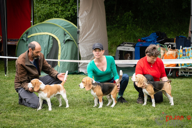 Clubsiegershow BCS  | Clubsiegershow BCS in Villmergen. 14.05.2023 Foto: Leo Wyden