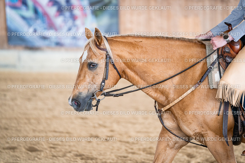 DSC08073 | Pferdegrafie